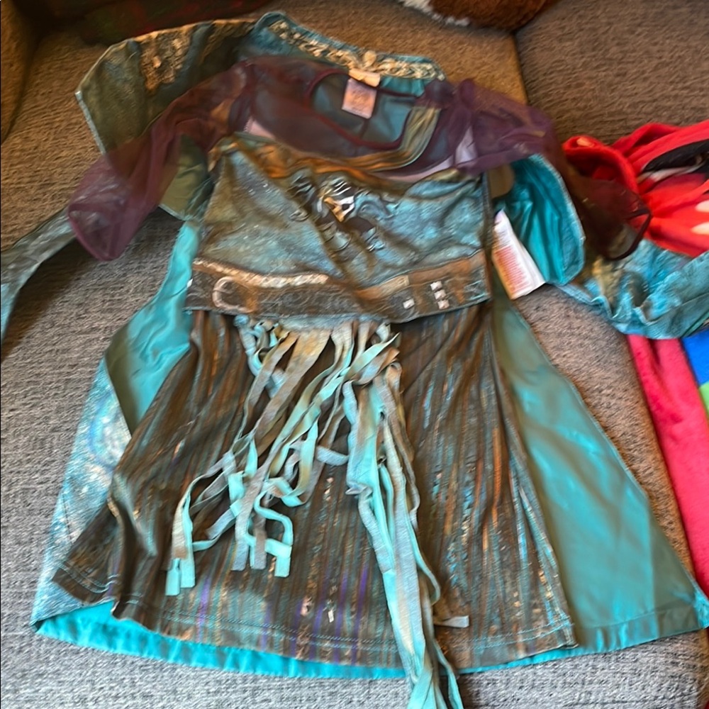 Disney Blue and Purple Princess Halloween Costume